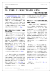 report見本